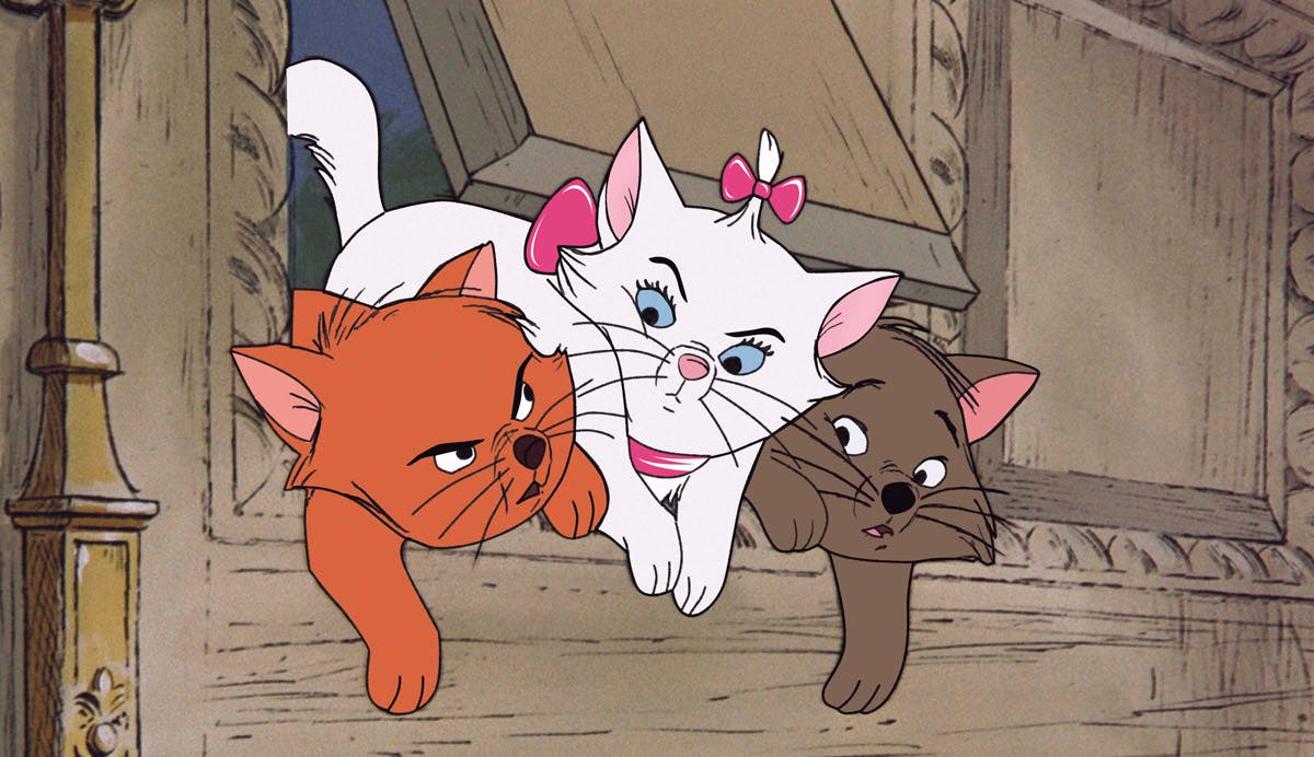 Decouvrez Les Chats Les Plus Celebres D Internet Ou Des Productions Culturelles De Notre Enfance Momes