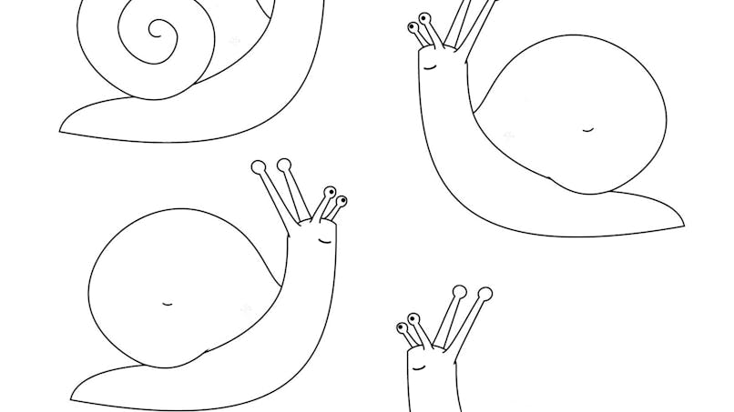 Graphisme : apprendre à dessiner la coquille en spirale des escargots