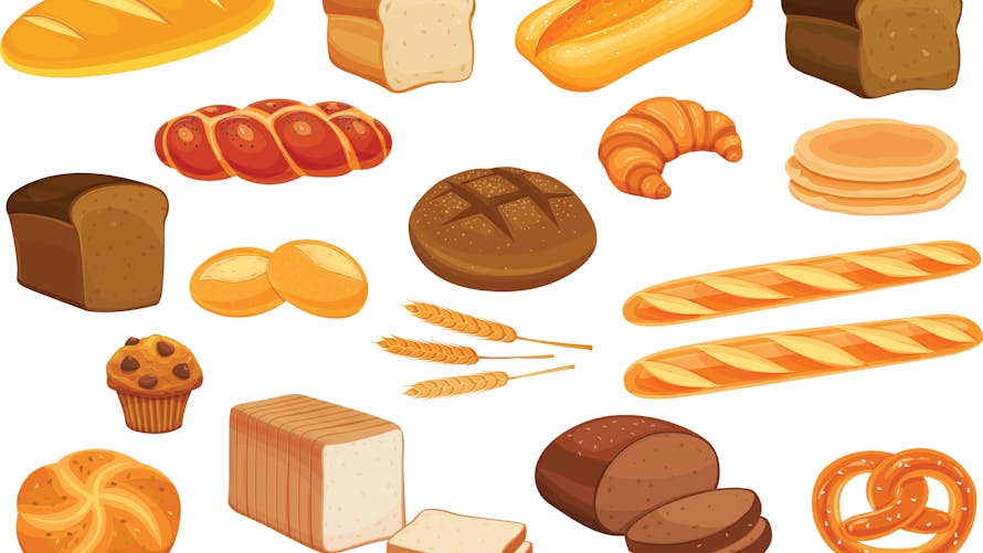 Illustration : les différents types de pain