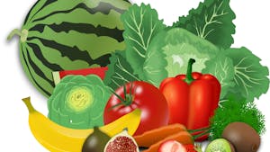 Les fruits et légumes de saison 