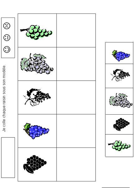 Les Grappes De Raisins Retrouver Les Paires Momes Net