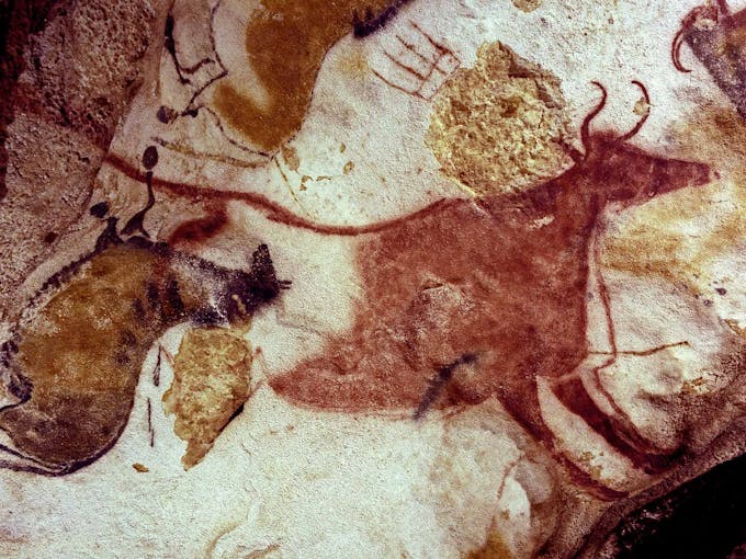 Détail des peintures dans les Grottes de Lascaux