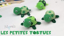 Les petites tortues en boite d'œufs