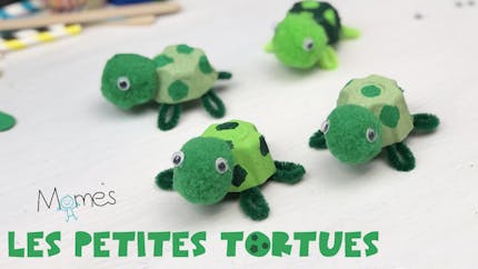 Les petites tortues en boite d'œufs 