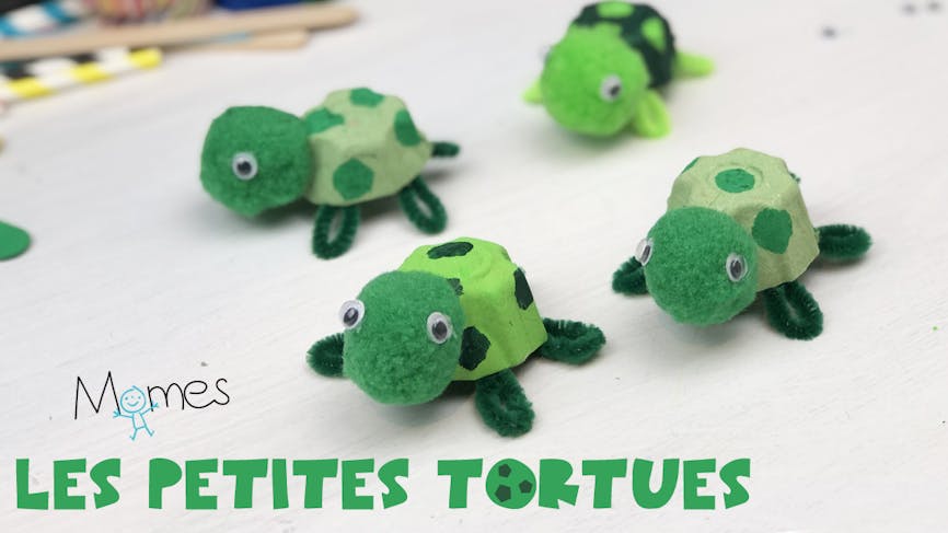 Les petites tortues