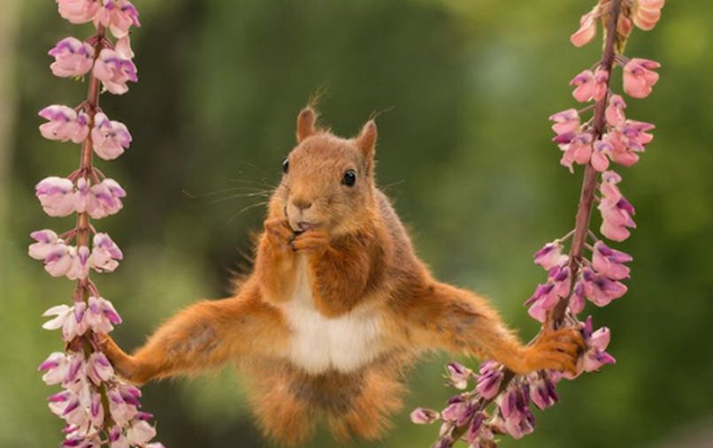 Les Photos D Animaux Les Plus Droles De L Annee Momes Net Les Photos D Animaux Les Plus Droles De L Annee Momes Net