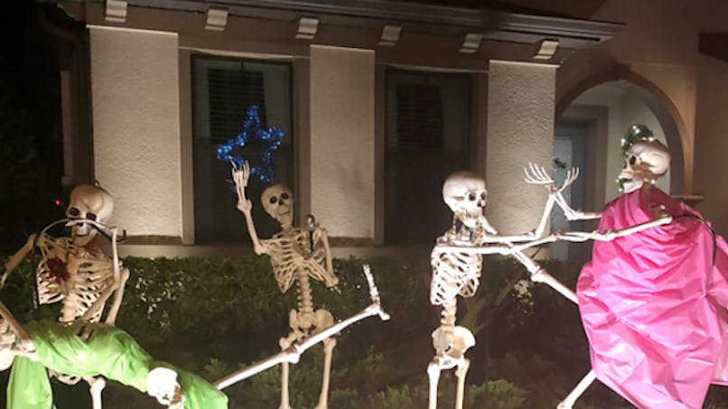 famille squelette halloween voisins sami campagnano déco
      jardin