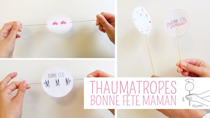 Les Thaumatropes "Bonne fête maman"