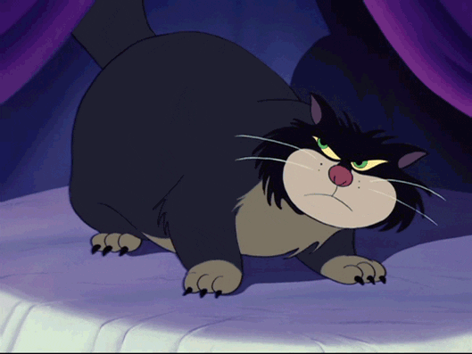 Decouvrez Les Chats Les Plus Celebres D Internet Ou Des Productions Culturelles De Notre Enfance Momes Net Decouvrez Les Chats Les Plus Celebres D Internet Ou Des Productions Culturelles De Notre Enfance Momes Net