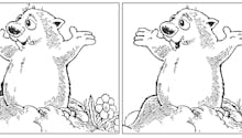 Marmottes : jeu des 7 erreurs