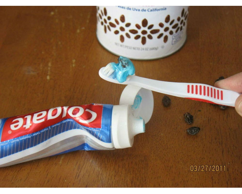 Mettre une goutte de colorant alimentaire sur une
      brosse à dent