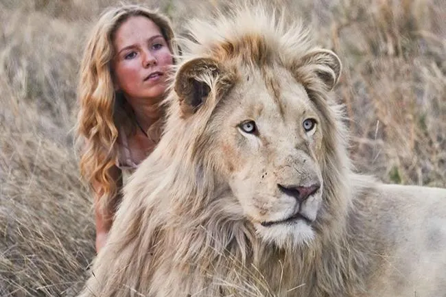 Mia Et Le Lion Blanc Momes Net Mia Et Le Lion Blanc Momes Net
