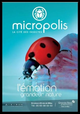 Affiche Micropolis