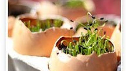 Mini jardin de pâques avec des coquilles d'oeufs