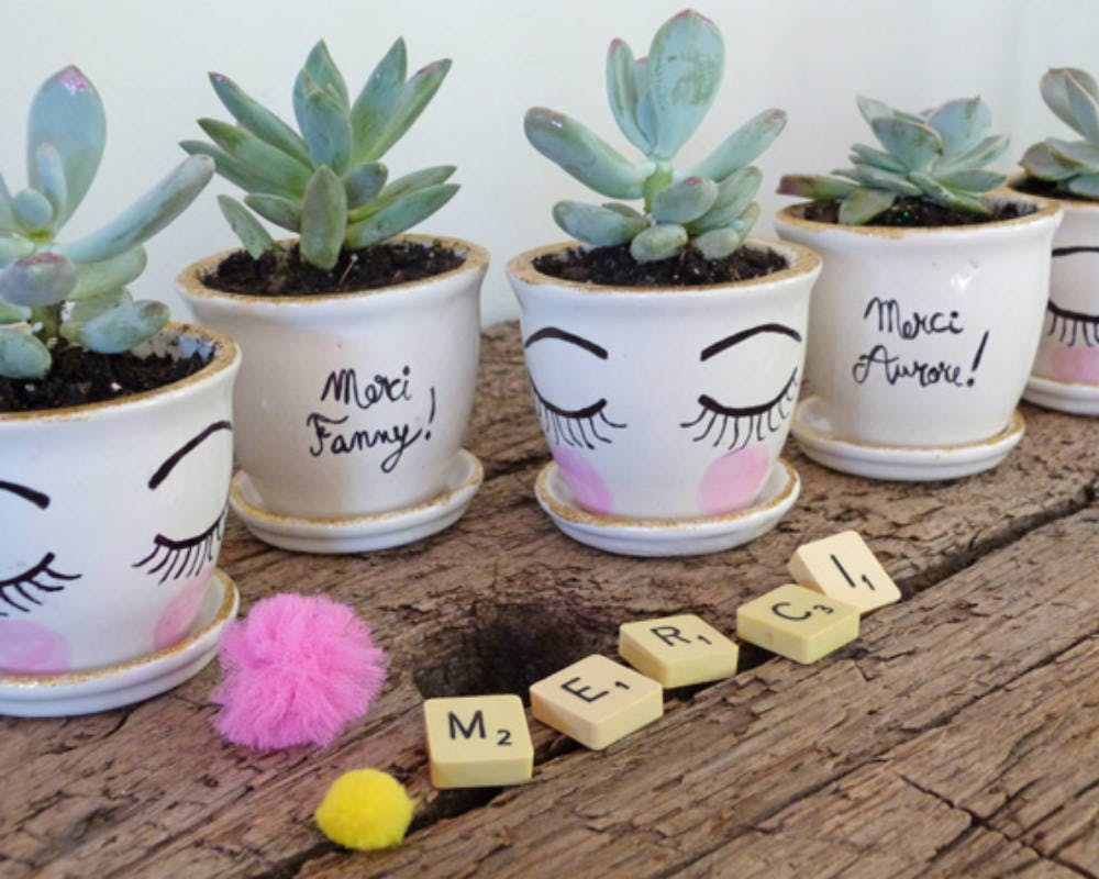 Mini succulentes et leur pots peints