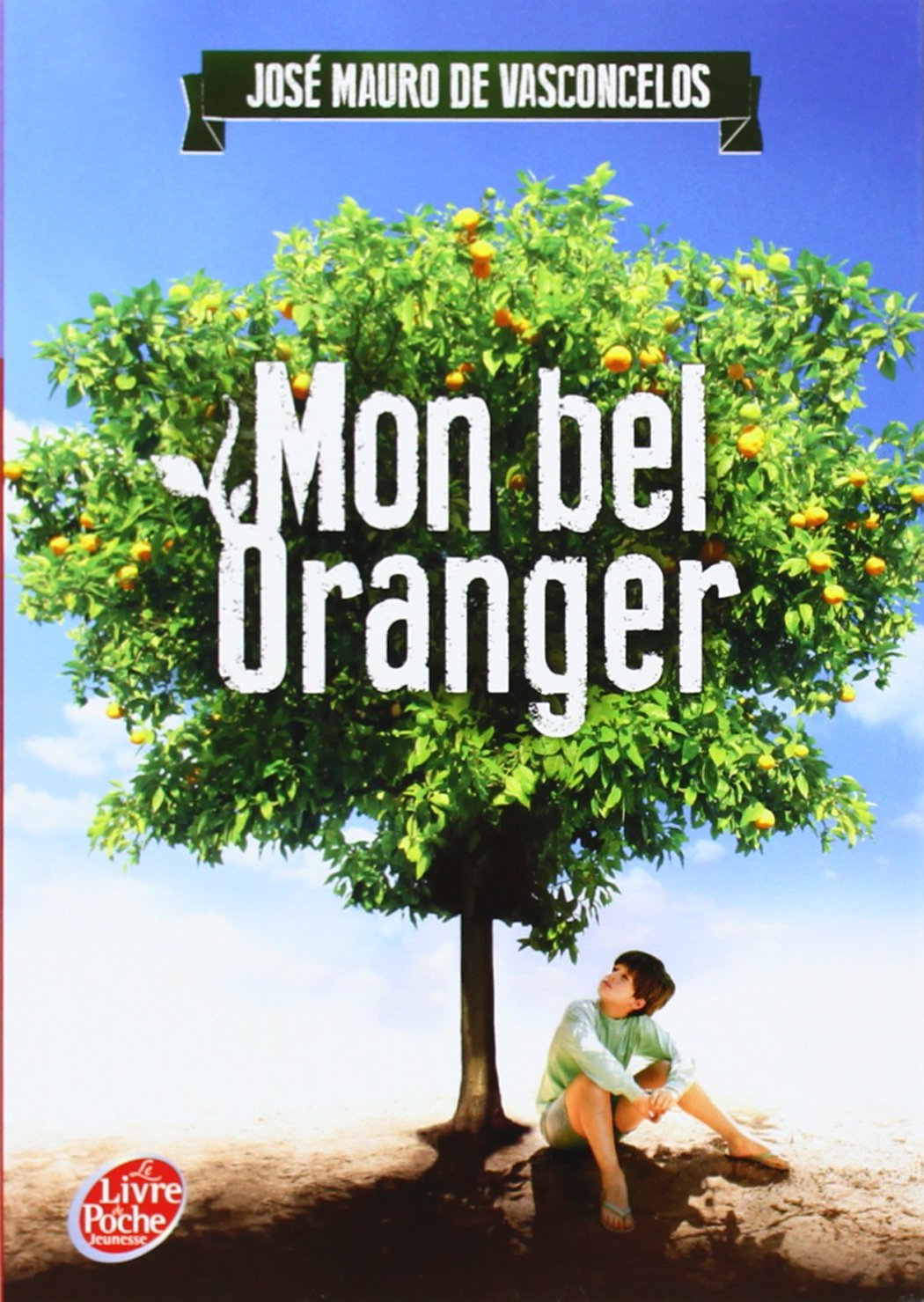 Mon Bel Oranger Livre Pour Enfants Momes Net