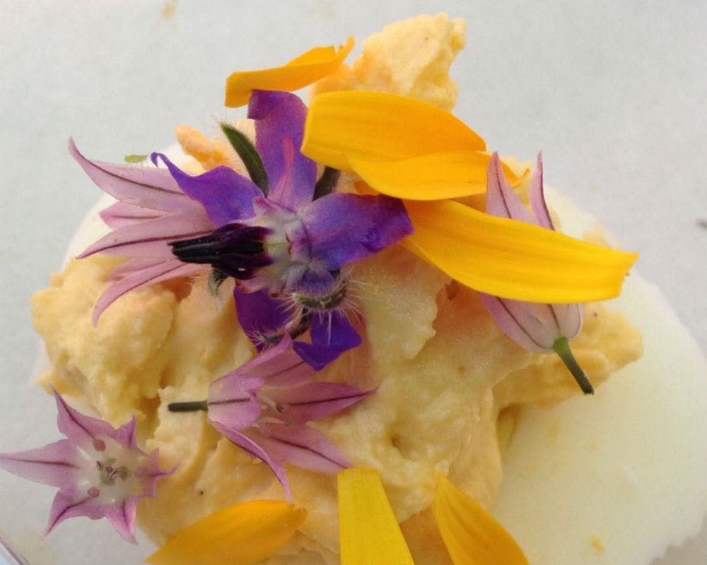 Œuf mimosa aux fleurs de ciboulette, de bourrache et
      pétales de soucis