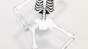 Pantin squelette