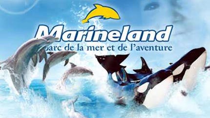 Parcs aquatique : Marineland
