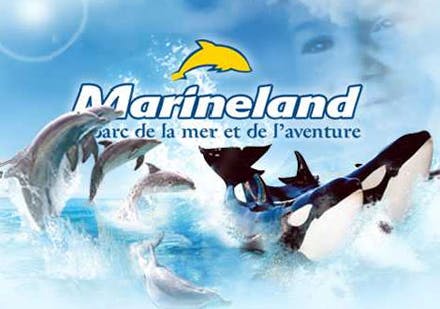 Parcs aquatique Marineland