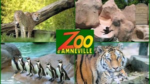 Parcs zoologique : Amnéville