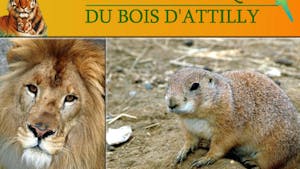 Parcs zoologique : Bois d'Attilly