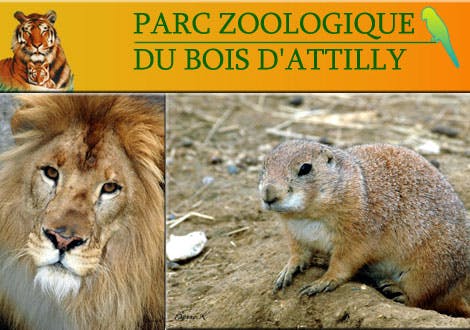 Photo Parcs zoologique Bois d'Attilly
