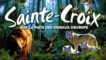 Parcs zoologique : Parc animalier de Sainte-Croix