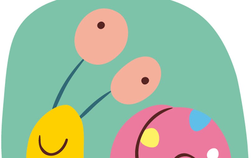 Petit Escargot Momes Net Petit Escargot Momes Net