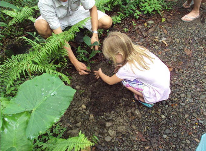 Première activité de jardinage avec les tout-petits - Activités pour enfant  - Môme des bois