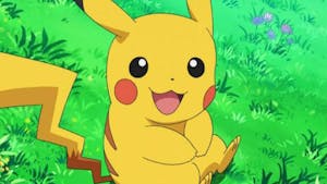 Pokémon : découvrez quel animal est en réalité Pikachu !