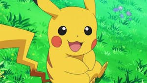 Pokémon : découvrez quel animal est en réalité Pikachu !