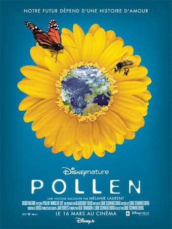 affiche pollen