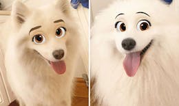 Quand Snapchat transforme les chiens en personnages Disney...