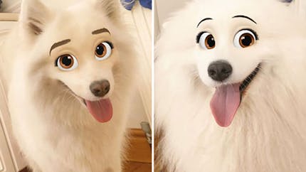 Quand Snapchat transforme les chiens en personnages Disney...