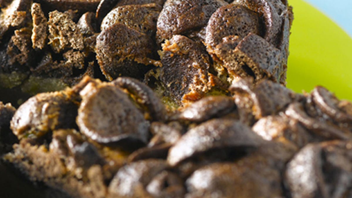 Recette de gâteau aux céréales chocolatés Recette de gâteau aux céréales chocolatés