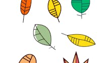 Reproduction symétrique: les feuilles d'automne