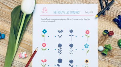 Retrouve les ombres : les fleurs de printemps Retrouve les ombres : les fleurs de printemps