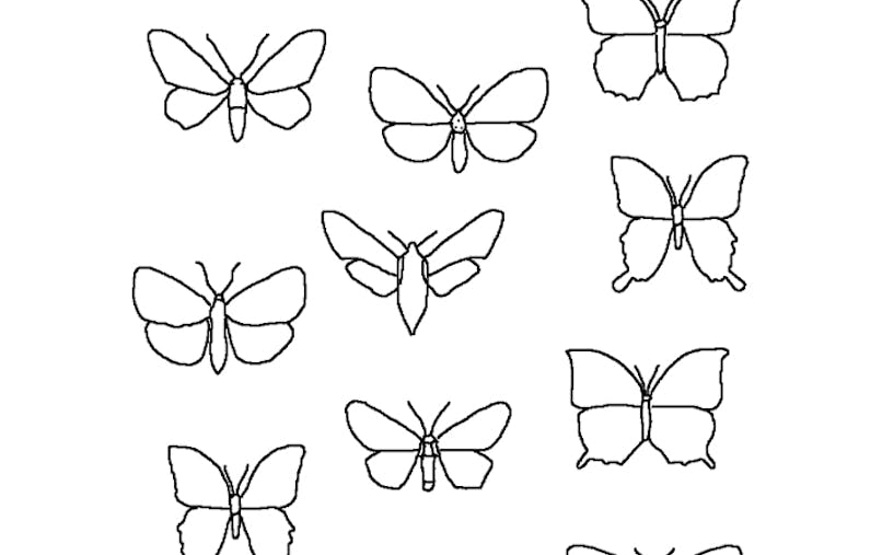retrouve la paire : les papillons retrouve la paire : les papillons