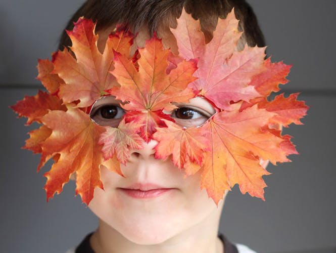 Se déguiser avec un masque de feuilles