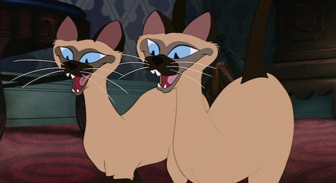 Les Chats Celebres Momes Net Les Chats Celebres Momes Net