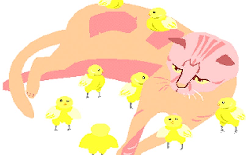 Trois Petits Oiseaux Momes Net Trois Petits Oiseaux Momes Net