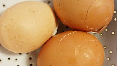 Recette Des Oeufs Craqueles Colores Momes Net Recette Des Oeufs Craqueles Colores Momes Net