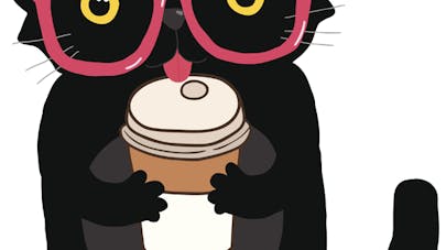 Un Chat Gris Momes Net Un Chat Gris Momes Net