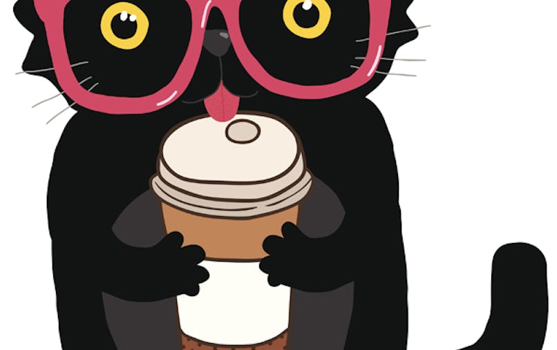 Un Chat Gris Momes Net Un Chat Gris Momes Net