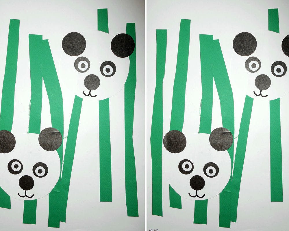 Un collage « panda »