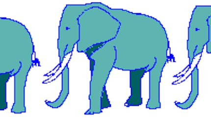 Comptines Avec Des Elephants Pour Les Enfants Momes Net Comptines Avec Des Elephants Pour Les Enfants Momes Net