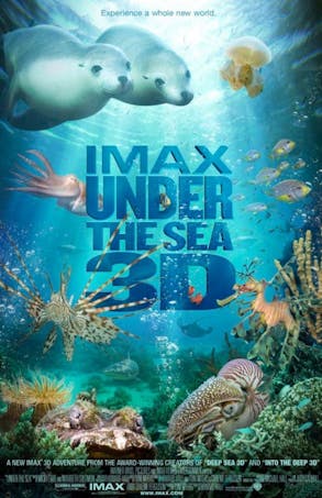 Affiche Under the sea