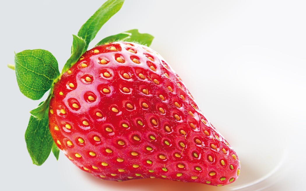 La Fraise Tout Savoir Sur Le Fruit De L Ete Momes Net La Fraise Tout Savoir Sur Le Fruit De L Ete Momes Net