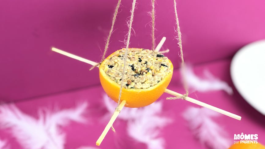DIY Mangeoire à oiseaux dans une orange